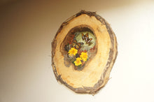 Load image into Gallery viewer, 12x18 Monarch Hollow Log Nature Scene
