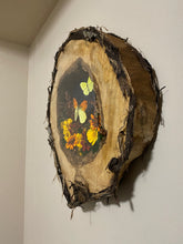 Load image into Gallery viewer, 14 x 18 Hollow Log Nature Scene