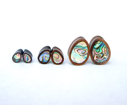 Abalone Inlaid Teardrop Wood Plugs