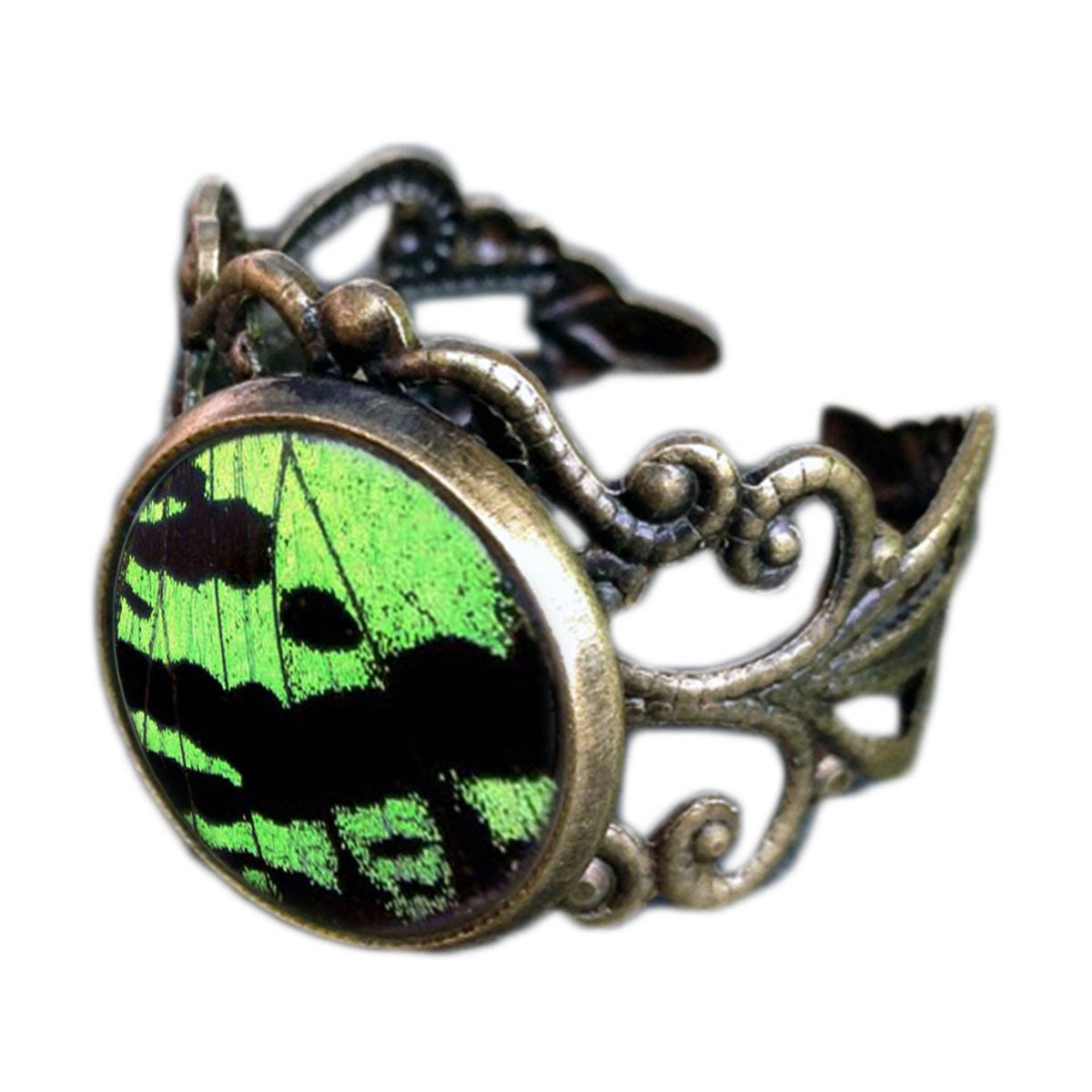 Real Green Sunset Moth Wing Adjustable Ring
