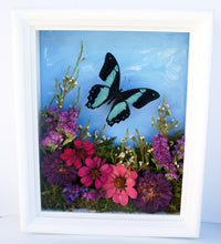Load image into Gallery viewer, 8x10 Flower Shadow Box with Papilio Bromius