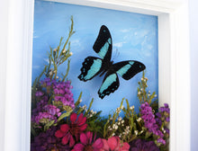 Load image into Gallery viewer, 8x10 Flower Shadow Box with Papilio Bromius