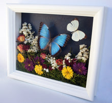 Load image into Gallery viewer, 8x10 Flower Shadow Box with Morpho and White