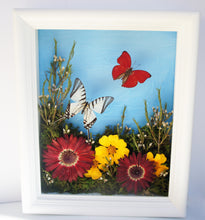 Load image into Gallery viewer, 8x10 Flower Shadow Box with Eurytides and Red
