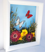 Load image into Gallery viewer, 8x10 Flower Shadow Box with Eurytides and Red