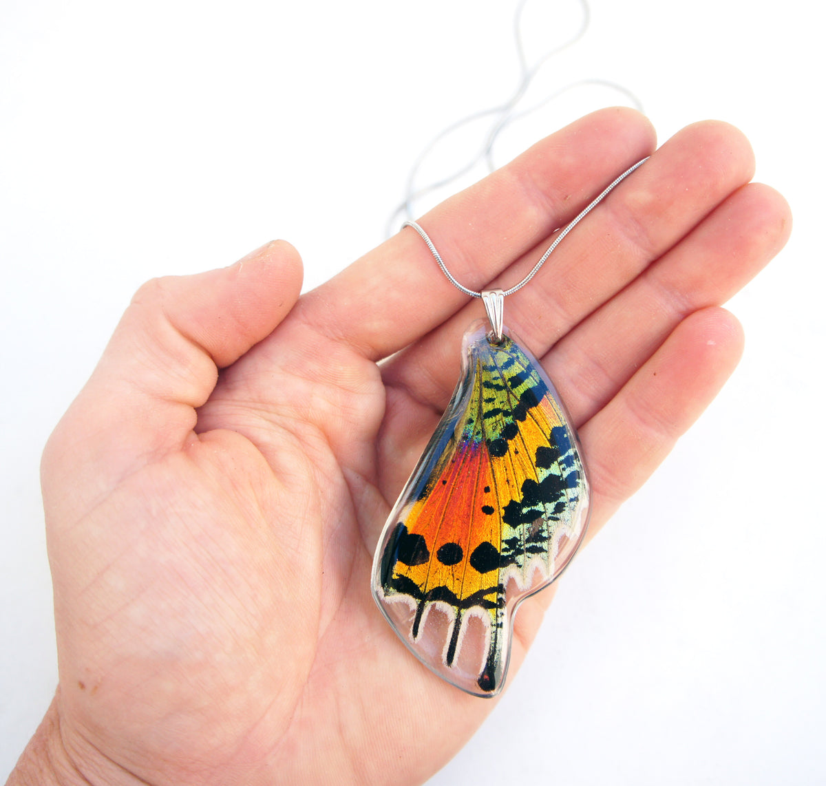 Real Butterfly Wing Heart Pendant Necklace on a Sterling Silver Chain, Multi  Coloured Sunset Moth 