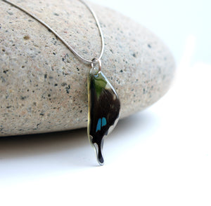 Recycled Butterfly Wing Necklace - Graphium Weiskei Hindwing - Butterfly Gift, Nature Theme Jewelry