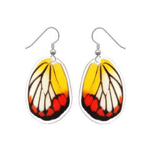 Load image into Gallery viewer, REAL butterfly wing earrings - Delias Hyparete Hindwing