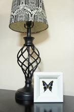 Load image into Gallery viewer, 4x4 Real Butterfly Taxidermy - Graphium Weiskei