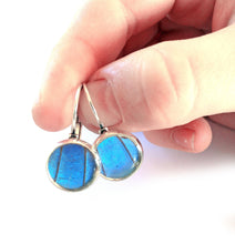 Load image into Gallery viewer, Real Blue Butterfly Wing Post Earrings - Blue Morpho Dropped Post