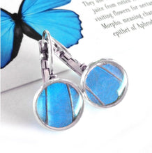 Load image into Gallery viewer, Real Blue Butterfly Wing Post Earrings - Blue Morpho Dropped Post