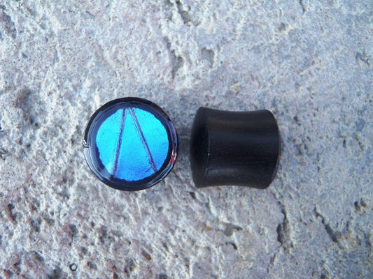 Blue Morpho circle plugs, alternate view