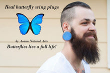 Load image into Gallery viewer, Real Butterfly Wing Circle Plugs - Blue Morpho Forewing

