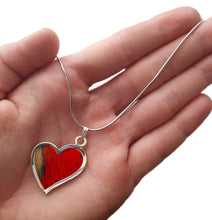 Load image into Gallery viewer, Real Butterfly Sterling Silver Necklace - Cymothoe Sangaris