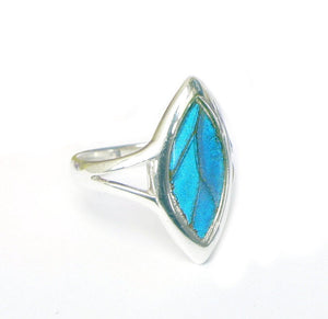 Real Butterfly Wing Ring - Blue Morpho Marquis