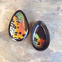 Load image into Gallery viewer, Real Moth Wing Teardrop Plugs 1/2"-1 1/2"- Rainbow Sunset Moth - Body Jewelry, Gauges, Teardrop Plugs