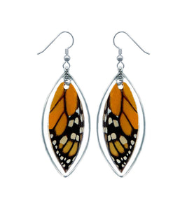 Real Monarch Butterfly Wing- Sterling Silver Earrings - Monarch Forewing - Butterfly Gift, Nature Theme Jewelry