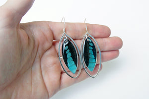 Real Butterfly Wing Sterling Silver Earrings - Graphium Milon Forewing