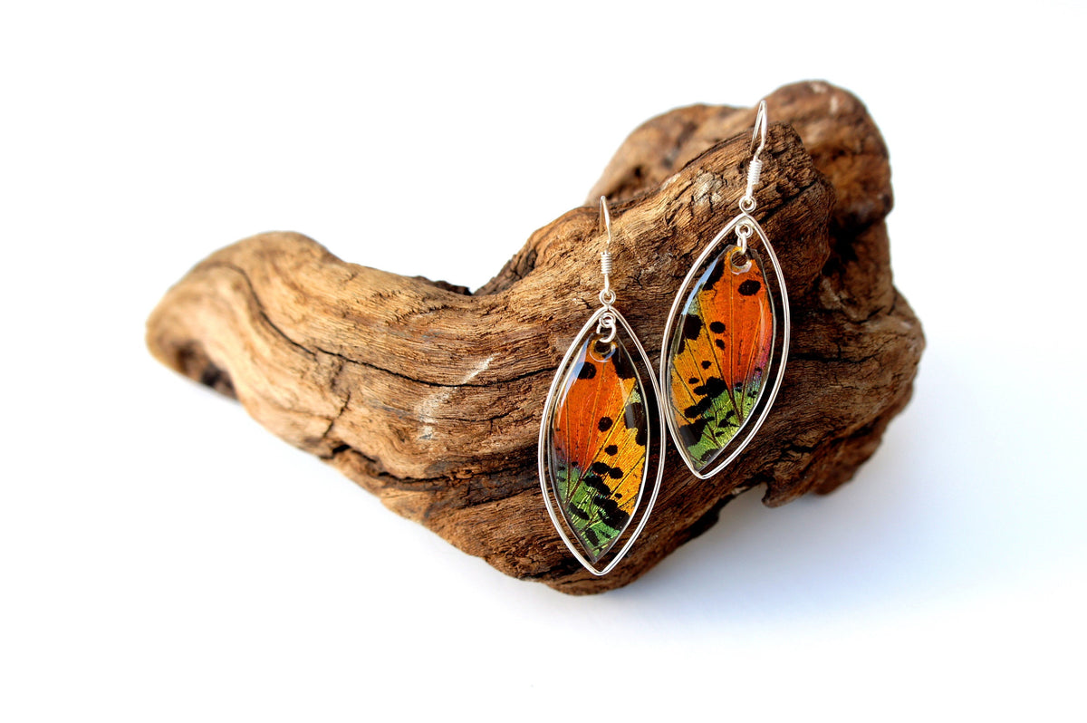 Rainbow Sunset Moth marquis earrings, detail view