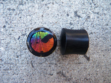 Load image into Gallery viewer, Real Moth Wing Circle Plugs 1/2"-1 1/2"- Rainbow Sunset Moth - Body Jewelry, Gauges, Teardrop Plugs