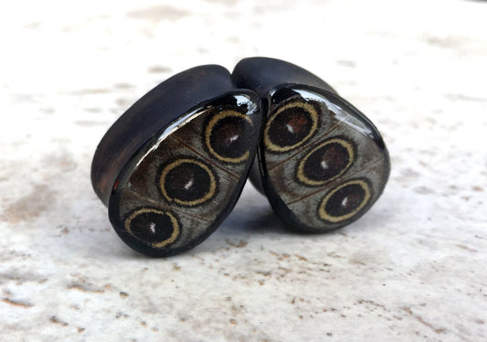 Owl eye wing plugs, alternate view