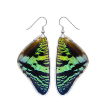 Load image into Gallery viewer, Real Butterfly Wing Earrings - Green Sunset Moth
