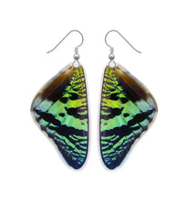 Load image into Gallery viewer, Real Butterfly Wing Earrings - Green Sunset Moth