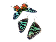 Load image into Gallery viewer, Real Butterfly Wing Earrings - Green Sunset Moth