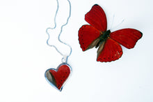 Load image into Gallery viewer, Real Butterfly Sterling Silver Necklace - Cymothoe Sangaris