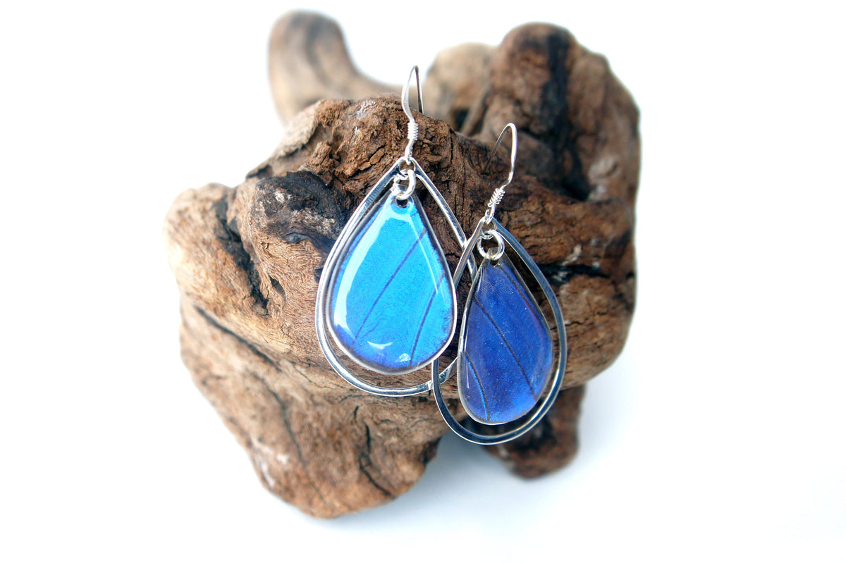 Blue Morpho teardrop earrings, alternate view