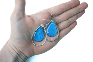 Real Butterfly Wing Sterling Silver Earrings - Blue Morpho Teardrop