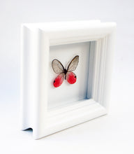 Load image into Gallery viewer, 4x4 Real Bright Pink Framed Butterfly - Blushing Phantom