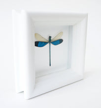 Load image into Gallery viewer, 4x4 Real Damselfly Taxidermy - Insect Framed Art