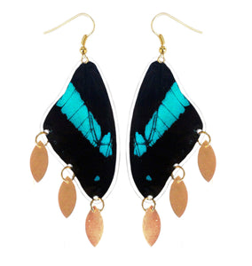 Real Butterfly Wing Charm Earrings - Papilio Bromius