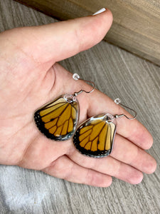 Real Butterfly Wing Earrings - Monarch Hindwing