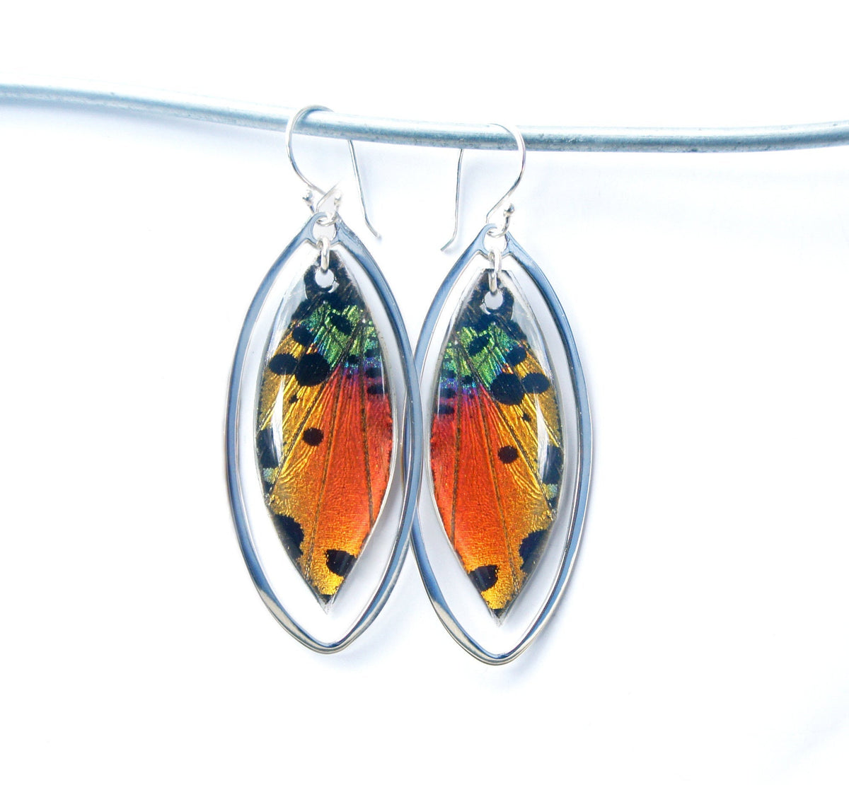 Real rainbow Sunset Moth wing earrings in sterling silver marquis drops