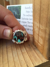 Load image into Gallery viewer, Real Blue Butterfly Wing Ring - Graphium Milon Hindwing