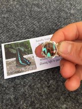 Load image into Gallery viewer, Real Blue Butterfly Wing Ring - Graphium Milon Hindwing