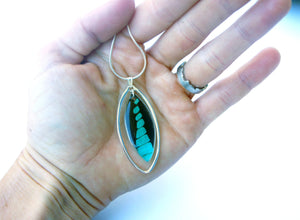 Butterfly Wing Necklace In Sterling Silver - Graphium Milon
