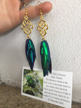 Load image into Gallery viewer, Real Beetle Wing Earrings - Celtic Knot
