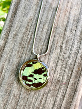 Load image into Gallery viewer, Real Butterfly Necklace Pendant - Green Sunset Moth