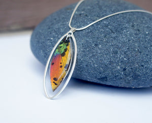 Sunset Moth Wing Necklace in Sterling Silver - Rainbow Sunset Moth - Nature Art, Butterfly Wing Jewelry