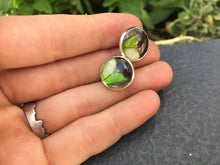Load image into Gallery viewer, Electric Green Butterfly Wing Post Earrings - Graphium Weiskei Green