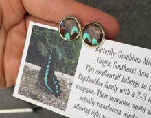 Load image into Gallery viewer, Recycled Butterfly Wing Post Earrings - Graphium Milon - Butterfly Jewelry, Butterfly Gift, Jewelry Gift