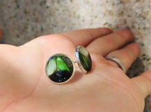 Load image into Gallery viewer, Electric Green Butterfly Wing Post Earrings - Graphium Weiskei Green