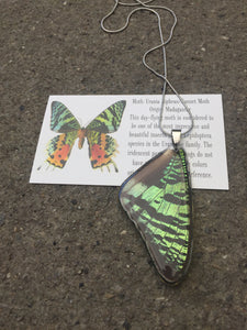 Recycled Butterfly Wing Necklace - Green Sunset Moth - Butterfly Gift, Nature Theme Jewelry