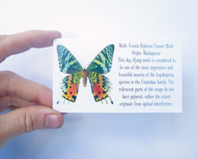 Load image into Gallery viewer, Green Butterfly Wing Post Earrings - Sunset Moth Forewing