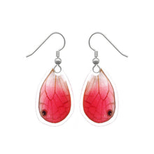 Load image into Gallery viewer, Real Butterfly Wing Earrings - Blushing Phantom