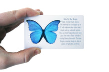 Load image into Gallery viewer, 8x24 Modern Butterfly Decor - Blue Morpho and White

