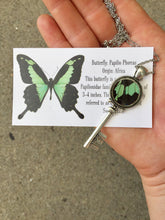 Load image into Gallery viewer, Real Butterfly Wing Skeleton Key Necklace Pendant - Papilio Phorcas
